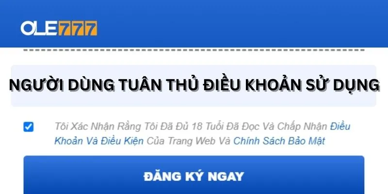 Quy định xử lý khi vi phạm điều khoản tại nhà cái 