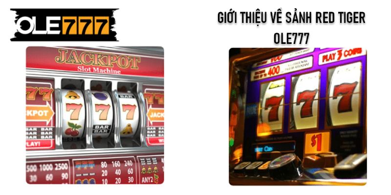 Giới thiệu về sảnh Red Tiger Ole777