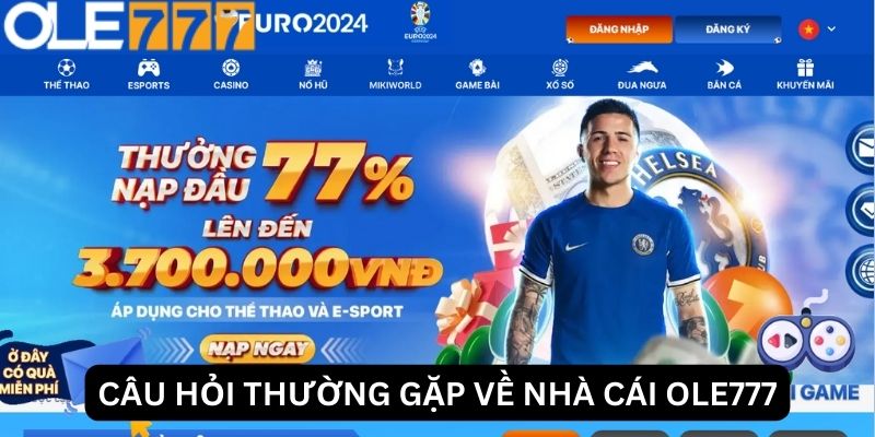 Những câu hỏi thường gặp Ole777 khi cá cược tại nhà cái