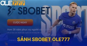 Sảnh SBOBET Ole777 - Điểm Đến Cá Cược Thể Thao Lý Tưởng